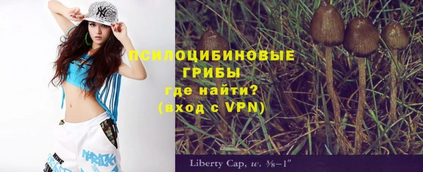 молекула духа Аркадак