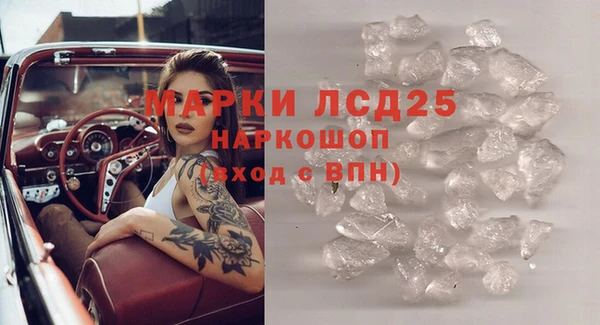 крисы Слюдянка