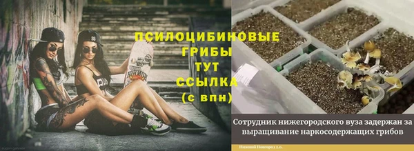 прущая мука Арсеньев