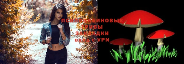 прущая мука Арсеньев