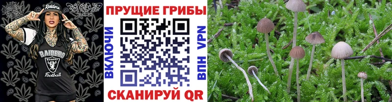 Псилоцибиновые грибы Magic Shrooms Бабушкин