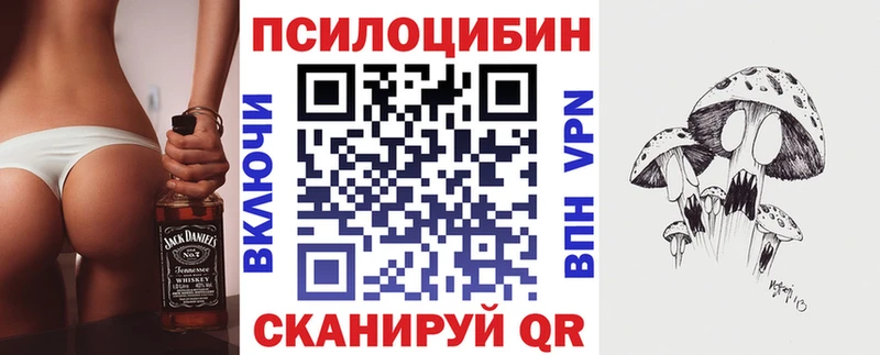 Псилоцибиновые грибы GOLDEN TEACHER  Купить где  Бабушкин 