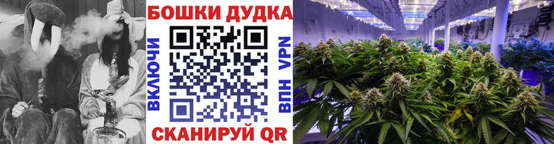 Купить  Бабушкин  Канабис семена 